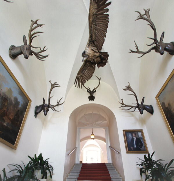 Schloss Horn _Detail_03