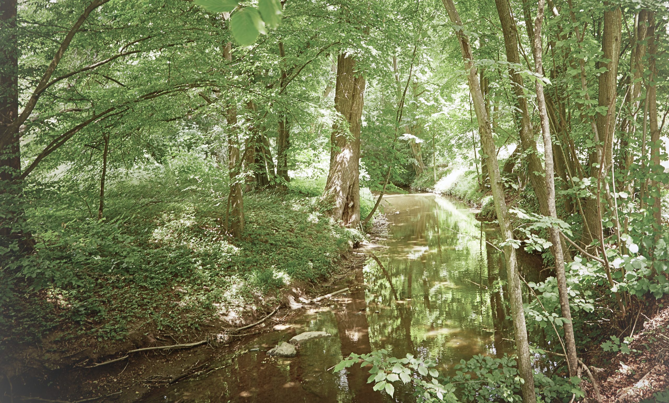 Schloss Horn _Hidden path_07